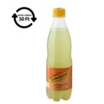 SCHWEPPES Citrus mix 0,5L DRS